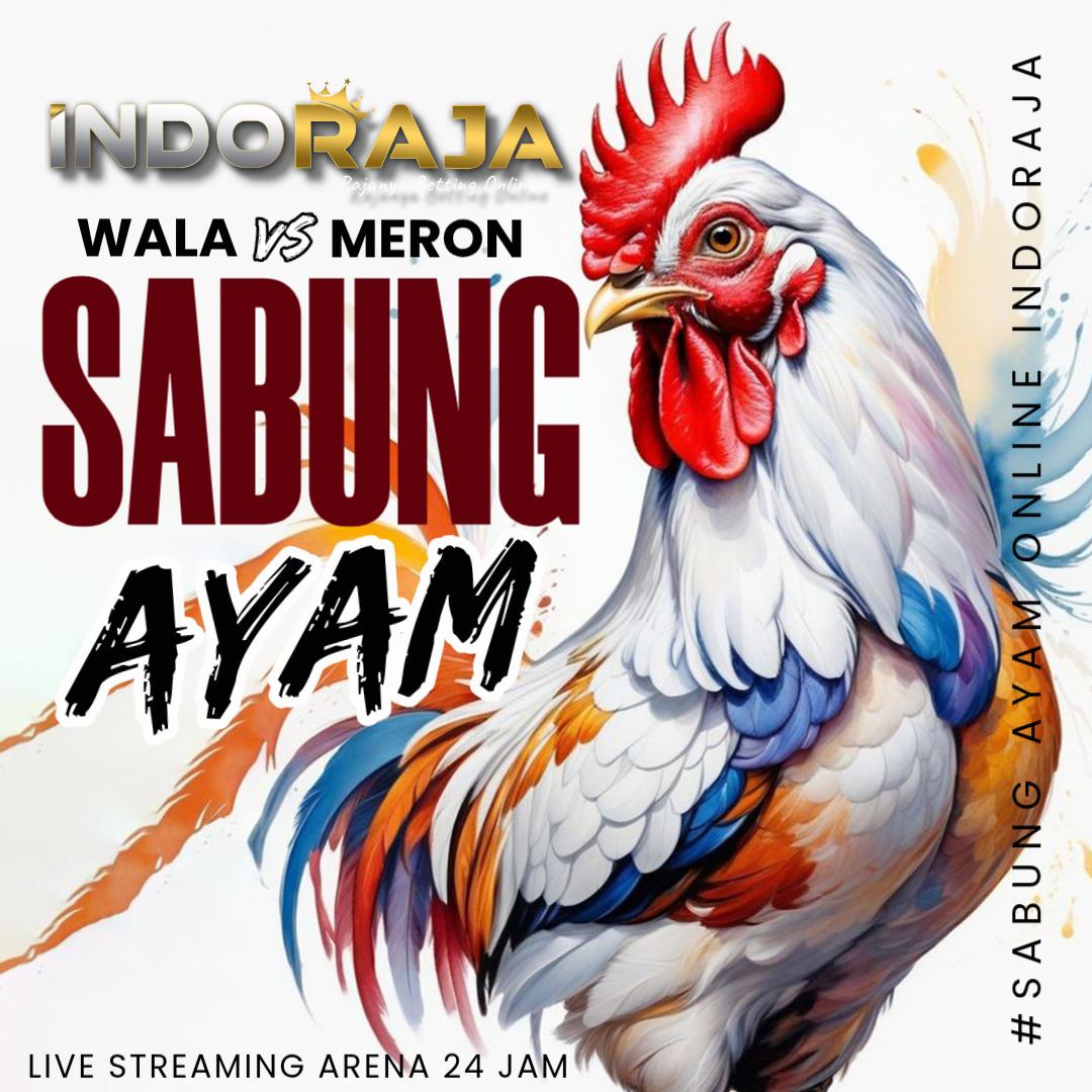 INDORAJA ᯓ ✈︎ Mitra No 1 Agen Situs Sabung Ayam Online SV388 Terpercaya image 1